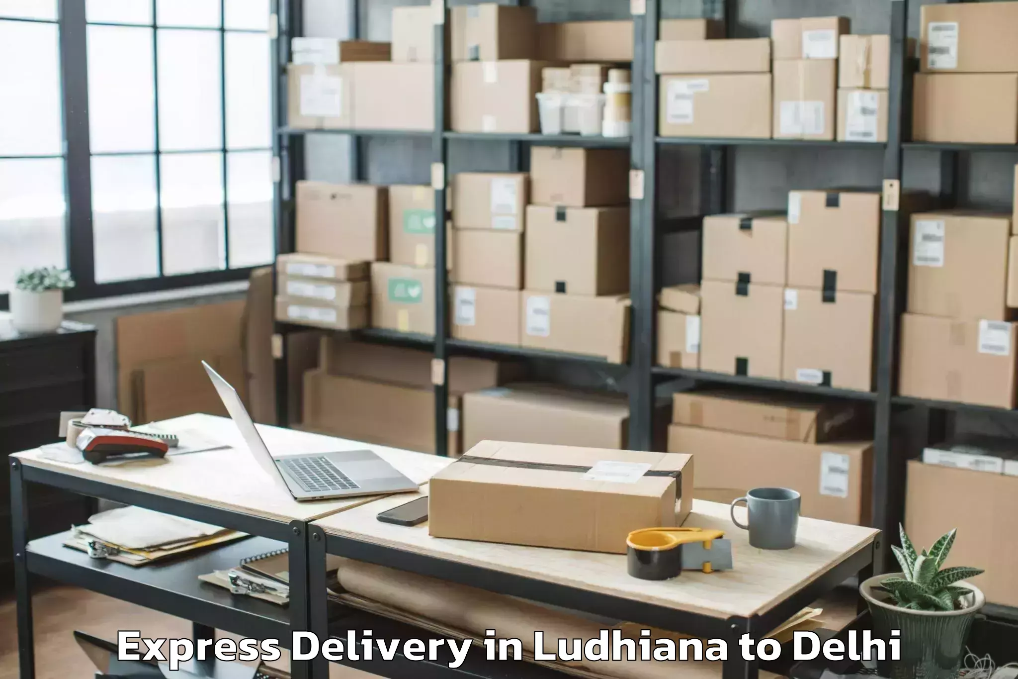 Discover Ludhiana to Naraina Industrial Estate Express Delivery